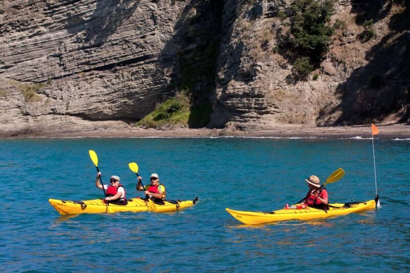 Auckland: Half-Day Sea Kayak Tour to Motukorea Island - The Practical Side