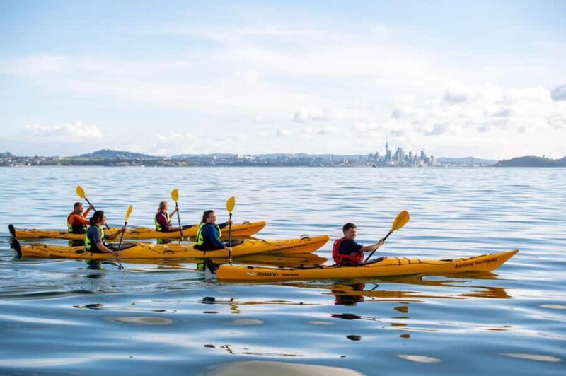Auckland: Half-Day Sea Kayak Tour to Motukorea Island - Why You Should Consider This Tour