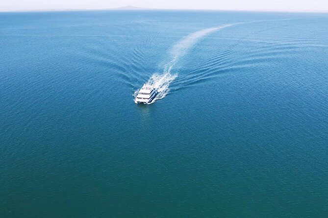 Auckland Harbour Cruise - Experience on Board: Comfort, Views, and Commentary