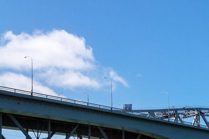 Auckland Harbour Cruise - Value and Practicalities