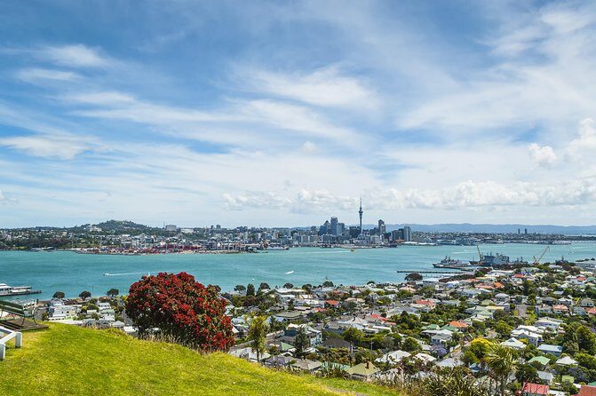 Auckland Harbour Cruise - Who Will Enjoy This Tour?
