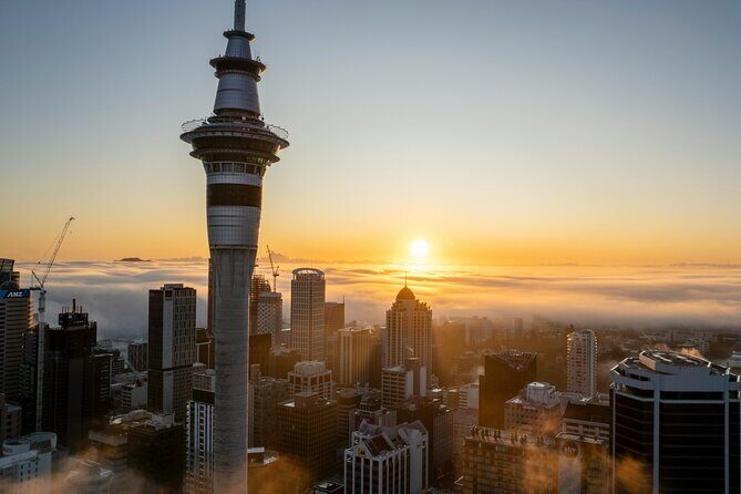 Auckland Highlight Attractions Small Group Tour - Summary of the Experience