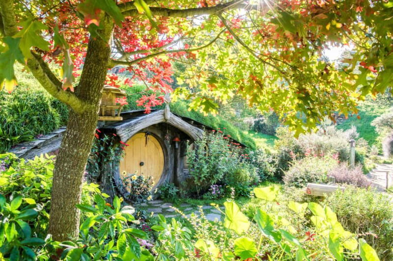 Auckland: Hobbiton Movie Set Tour with Lunch - Who Will Enjoy This Tour?