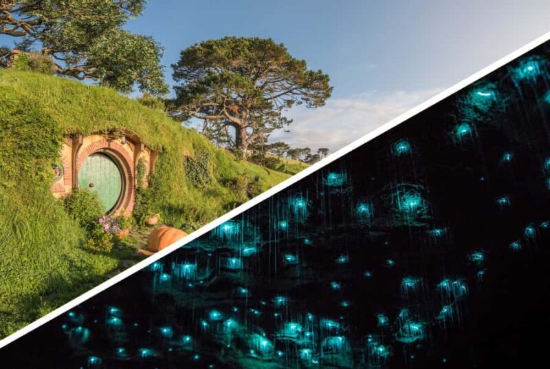 Auckland: Hobbiton & Waitomo Caves Small-Group Tour & Lunch - Pricing and Overall Value