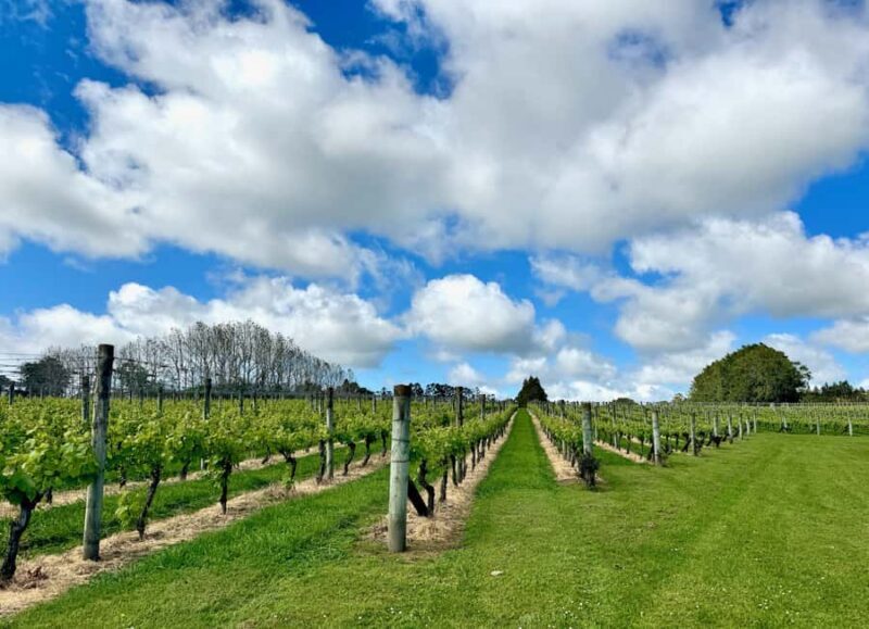 Auckland: Kumeu Wine Tasting Tour and Black Sand Beach - Practical Considerations
