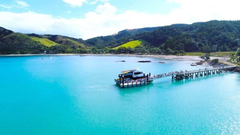 Auckland: Man O' War Vineyard Ferry (Waiheke Island) - Key Points