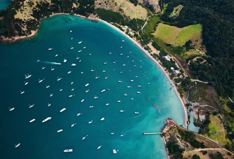 Auckland: Man O' War Vineyard Ferry (Waiheke Island) - The Practicalities: What to Expect
