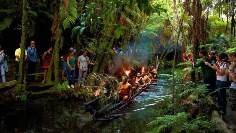 Auckland: Mori Evening Dinner and Private Show Experience - Discovering Maori Culture: What You Can Expect
