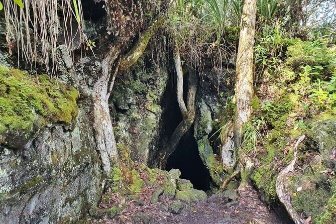 Auckland Natural Caves and Tunnels Private VIP Tour - FAQs