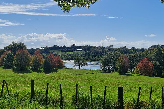 Auckland Nature Tour - A Closer Look at the Itinerary