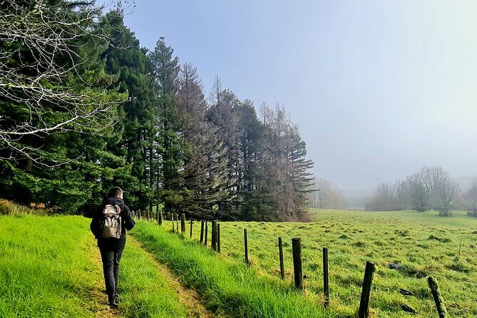 Auckland Nature Tour - Who Should Consider This Tour?