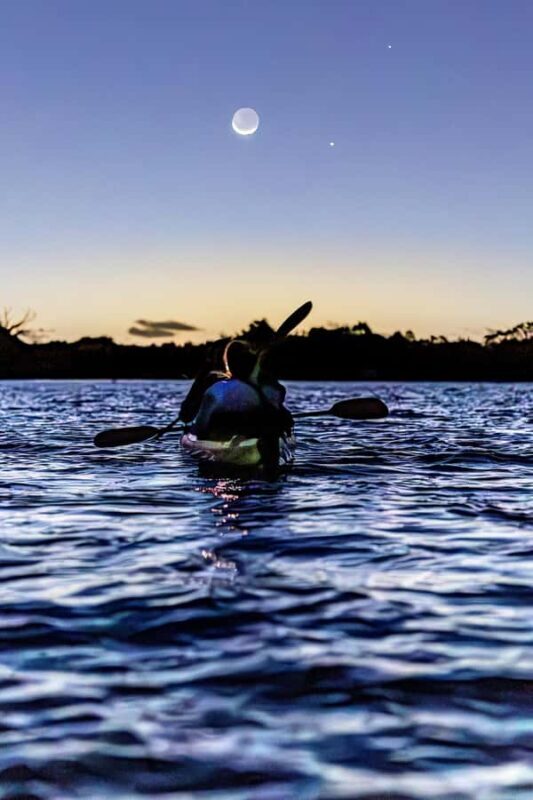Auckland: Night Kayak Tour in Glowing Bioluminescent Waters - What to Expect During the Experience