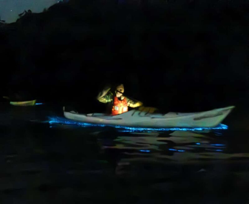 Auckland: Night Kayak Tour in Glowing Bioluminescent Waters - Practical Details and Considerations
