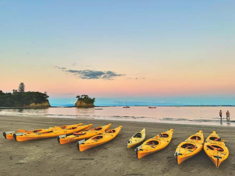 Auckland: Night Kayak Tour in Glowing Bioluminescent Waters - Authentic Experiences & Traveler Feedback