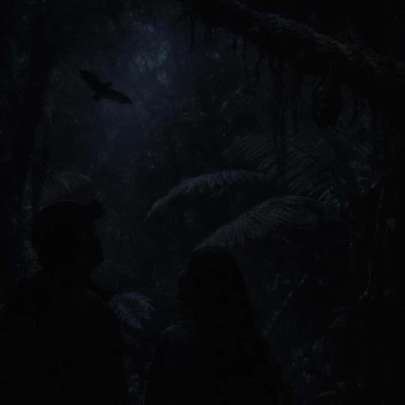 Auckland: Piha Native Bat Discovery Walking Tour - An Honest Look at the Piha Native Bat Discovery Walking Tour