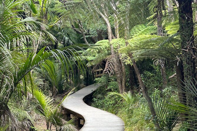 Auckland Private City Highlights Tour 5hrs Sightseeing Experience - Practical Tips for Travelers
