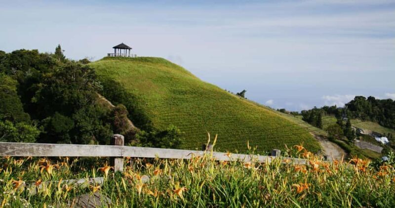 Auckland: Private City Tour with Mount Victoria and Mt. Eden - Key Points