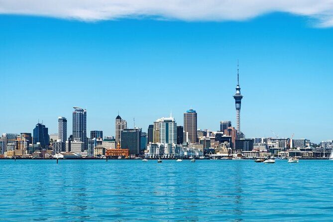 Auckland Private Custom Walking Tour with A Guide (Private Tour) - What Are the Limitations?