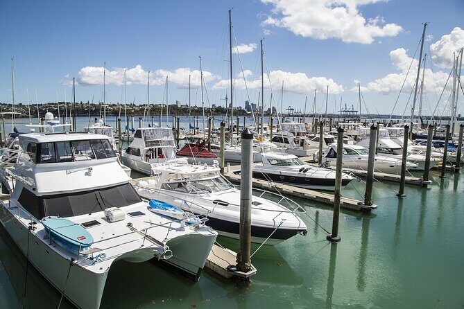 Auckland Private Full Day Attractions Tour & Museums - Exploring Auckland in Depth: What to Expect