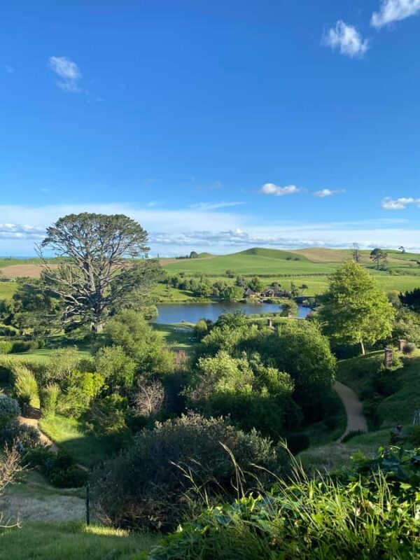 Auckland: Private Hobbiton Movie Set & Waitomo Caves Tour - Auckland: Private Hobbiton Movie Set & Waitomo Caves Tour — An In-Depth Look