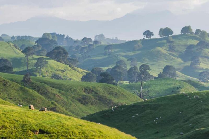 Auckland: Private Hobbiton Movie Set & Waitomo Caves Tour - Authentic Insights from Travelers