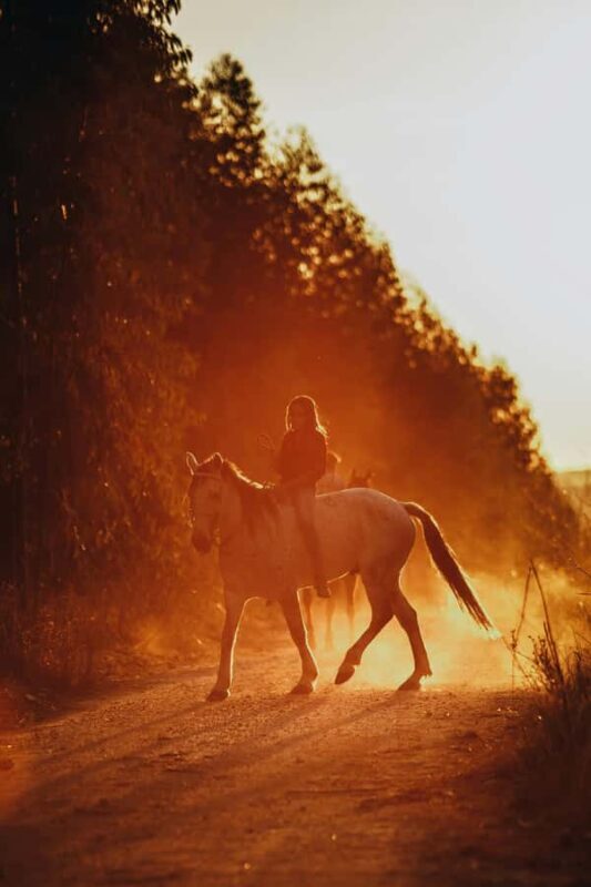 Auckland: Private Horseback Ride + Lunch + Wine + Pick up - A Journey Outside Auckland: What to Expect