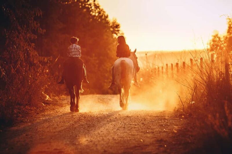 Auckland: Private Horseback Ride + Lunch + Wine + Pick up - Final Thoughts: Who Will Love This Tour?