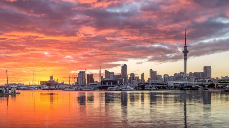 Auckland: Private Mori Experience Tour - Lunch and Cultural Performances