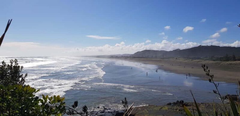 Auckland: Private Muriwai Gannets Experience - FAQ