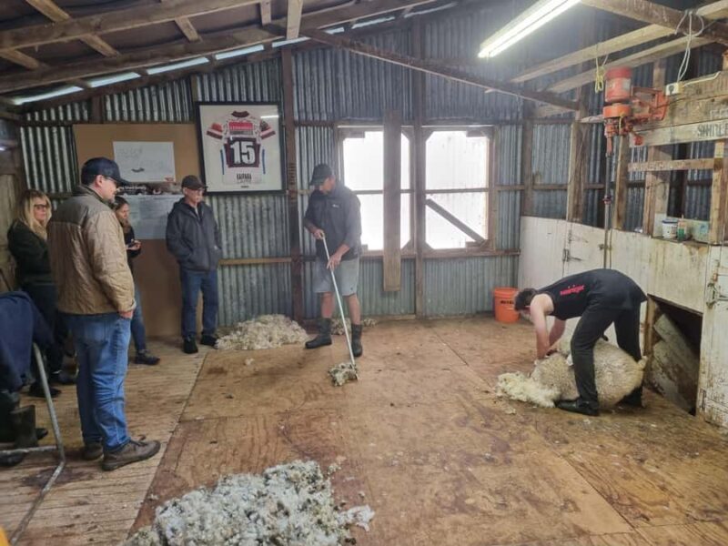 Auckland: Private Sheep & Beef Working Farm Tour - FAQ