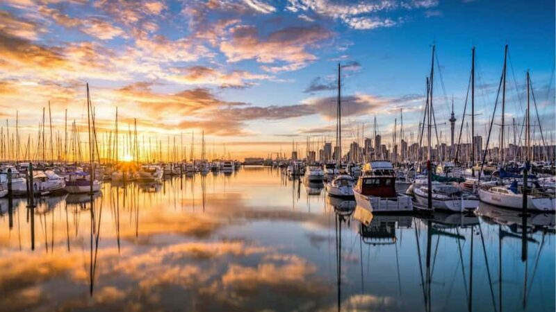 Auckland: Private Sightseeing Full or Half Day Guided Tour - Key Points