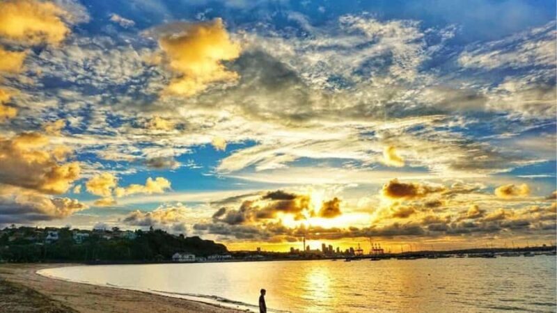 Auckland: Private Sightseeing Full or Half Day Guided Tour - Practical Details: Whats the Experience Like?