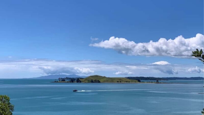 Auckland: Private Sightseeing Full or Half Day Guided Tour - Final Thoughts: Who Will Love This Tour?