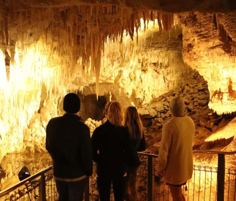 Auckland: Private Tour to Waitomo & Te Puia Valley - Key Points