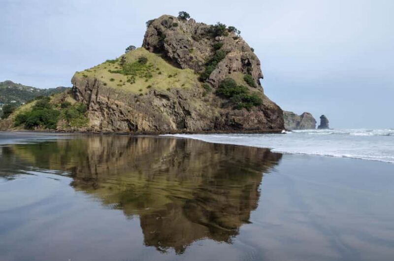 Auckland Private Tour: West Coast Wilderness & Piha Beach - Key Points