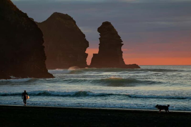 Auckland Private Tour: West Coast Wilderness & Piha Beach - An Introduction to Auckland’s West Coast Wilderness Tour