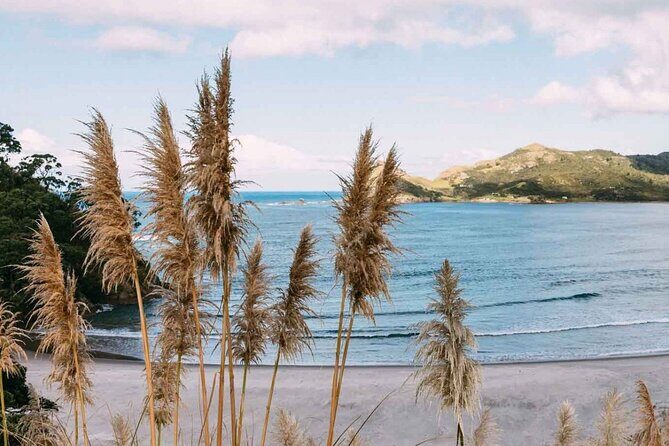 Auckland Region | Island Hopper Package Tour (2 Guests Minimum) - What’s Included and What to Keep in Mind
