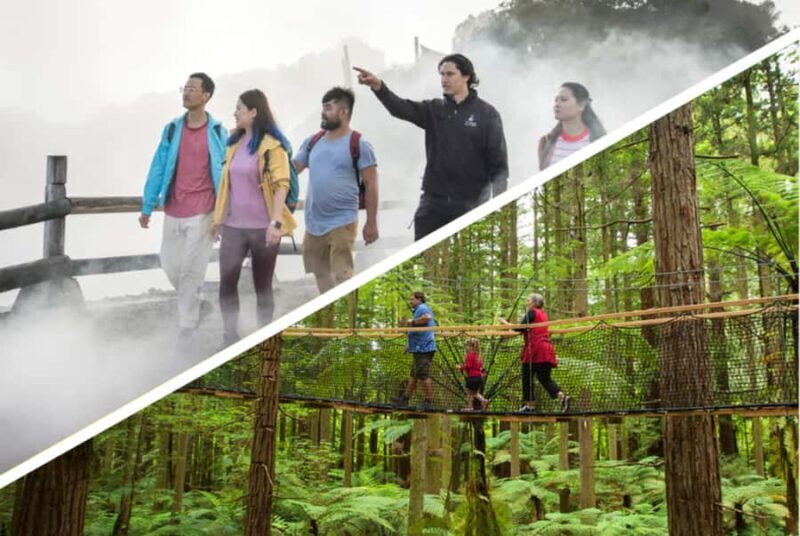 Auckland: Rotorua Highlights inc Te Puia Tour & Redwoods - Authentic Experiences and Hidden Gems