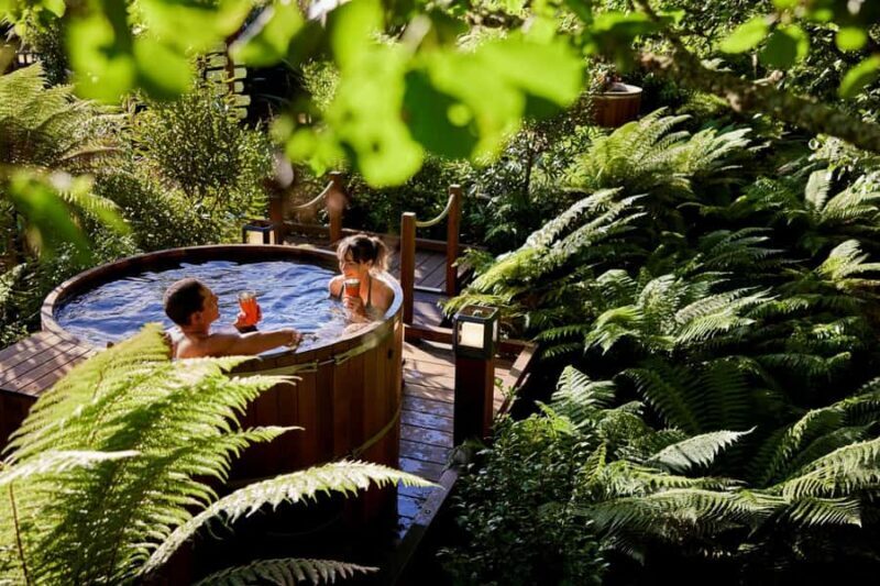Auckland: Rotorua Highlights w Redwoods Treewalk & Hot Tubs - The Itinerary and What to Expect