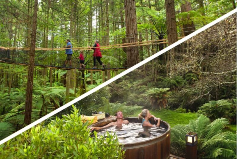 Auckland: Rotorua Highlights w Redwoods Treewalk & Hot Tubs - Who Will Love This Tour?