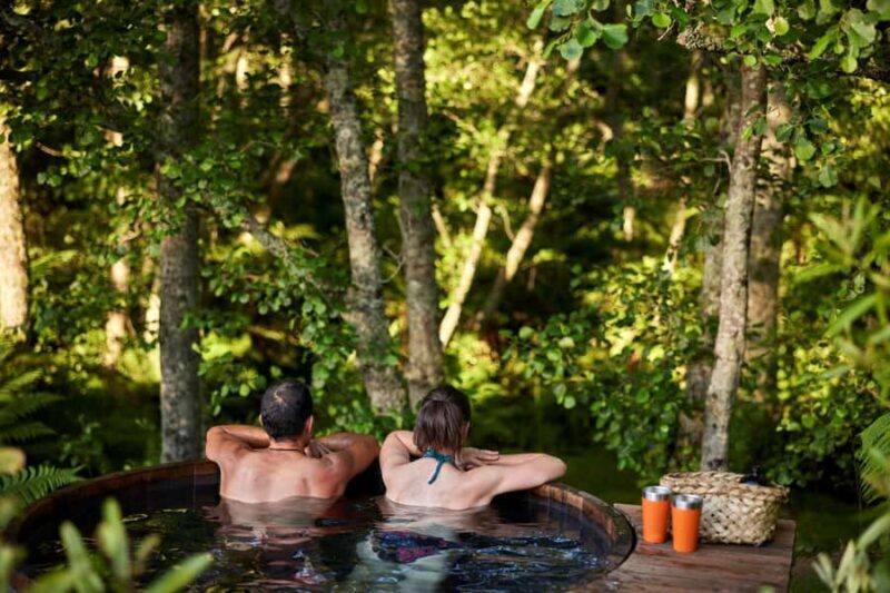 Auckland: Rotorua Highlights w Redwoods Treewalk & Hot Tubs - The Sum Up: Is It Worth It?