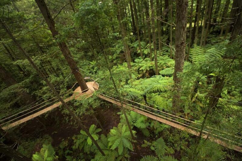 Auckland: Rotorua Highlights w Redwoods Treewalk & Hot Tubs - FAQ: Your Questions Answered