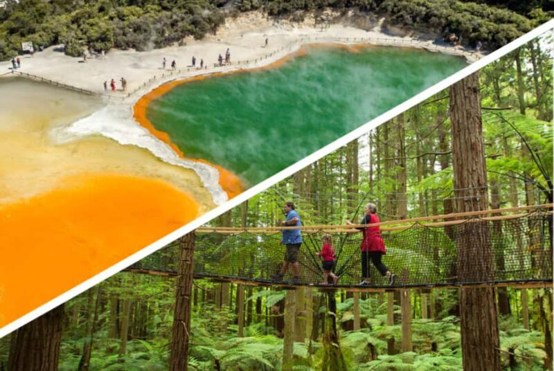 Auckland: Rotorua Highlights w WaiOTapu & Redwoods Treewalk - Key Points