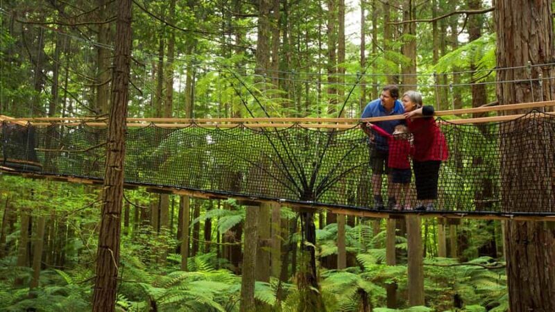 Auckland: Rotorua Highlights w WaiOTapu & Redwoods Treewalk - FAQs