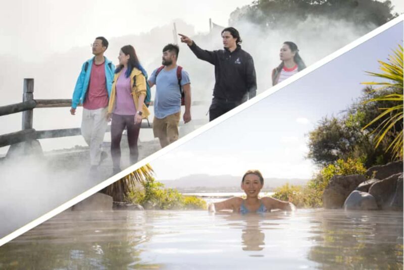 Auckland: Rotorua Highlights with Te Puia & Polynesian Spa - The Itinerary Breakdown: From Auckland to Rotorua and Back