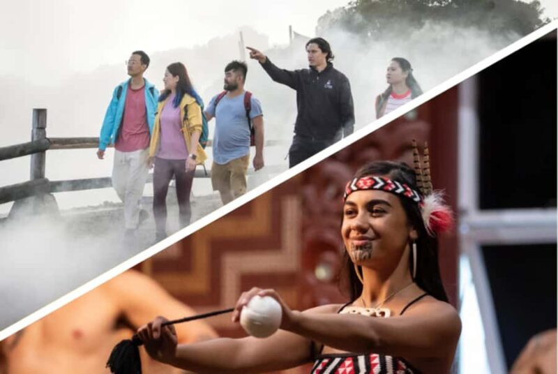 Auckland: Rotorua Highlights with Te Puia Tour, Show & Lunch - A Well-Organized Itinerary that Balances Highlights and Comfort