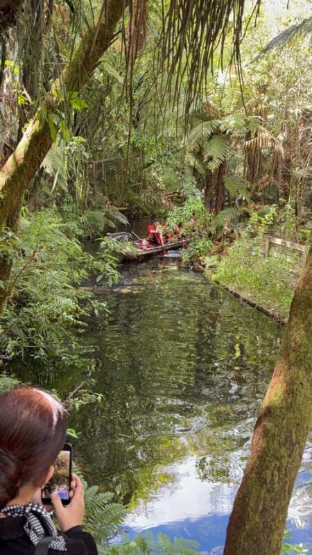 Auckland: Rotorua Mitai Mori Village & Wai-O-Tapu Tour - A Practical Overview of the Day