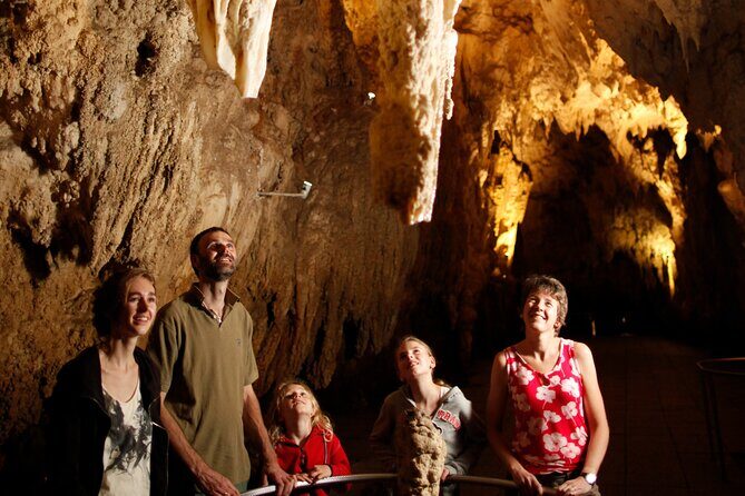 Auckland: Rotorua Mori Village, Waitomo Caves & Lunch - The Sum Up: Is It Worth It?