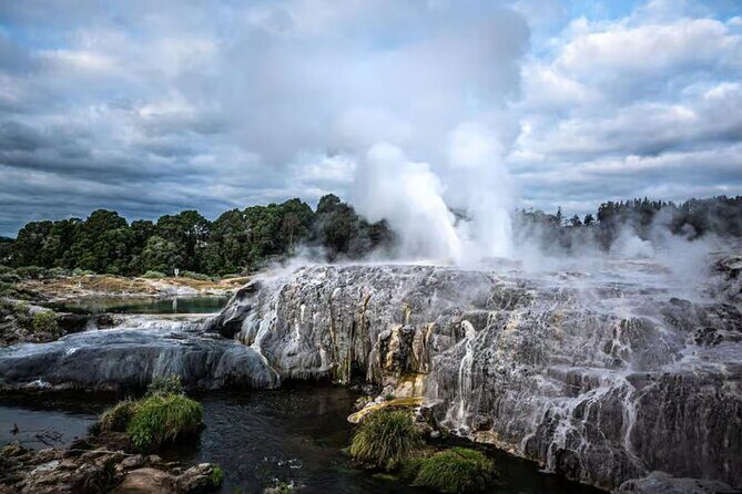 Auckland: Rotorua Te Puia & Maori Village Tour with Haka - Key Points