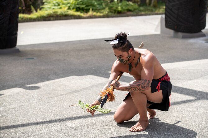 Auckland: Rotorua Te Puia with Haka & Polynesian Spa Small Group - What Some Travelers Love (and Some Want Changed)